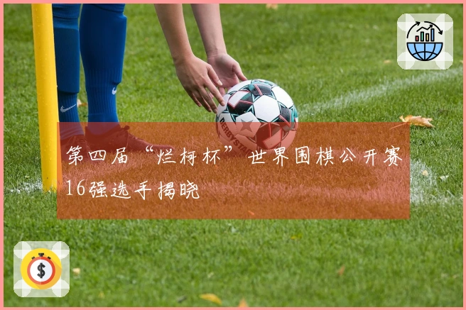 第四届“烂柯杯”世界围棋公开赛16强选手揭晓
