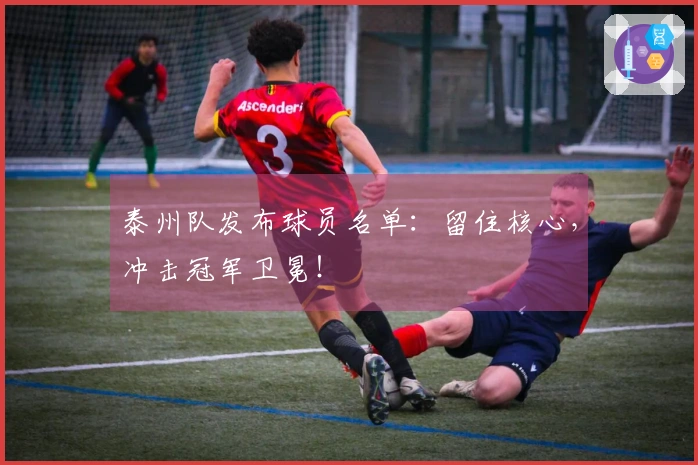 泰州队发布球员名单：留住核心，冲击冠军卫冕！