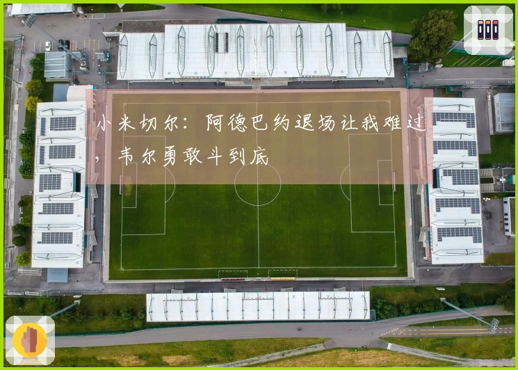 小米切尔：阿德巴约退场让我难过，韦尔勇敢斗到底