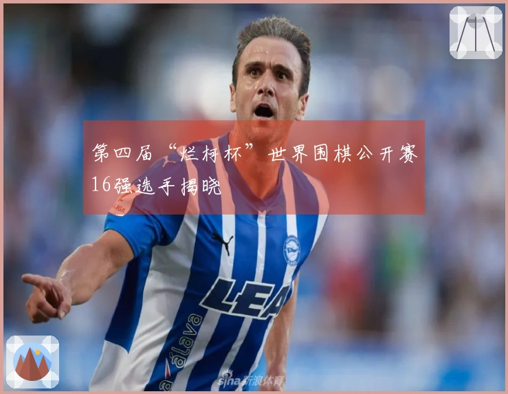 第四届“烂柯杯”世界围棋公开赛16强选手揭晓